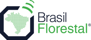logotipo brasil florestal 2022 180522 logotipo brasil florestal 1
