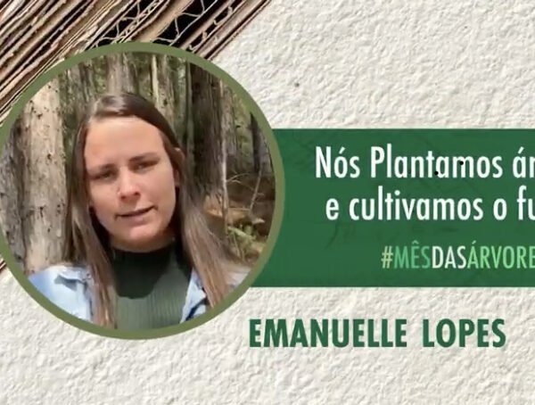 Foto — Associação Catarinense de Empresas Florestais (ACR)