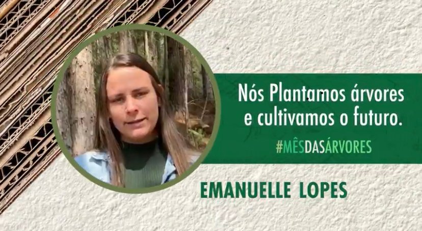 Foto — Associação Catarinense de Empresas Florestais (ACR)