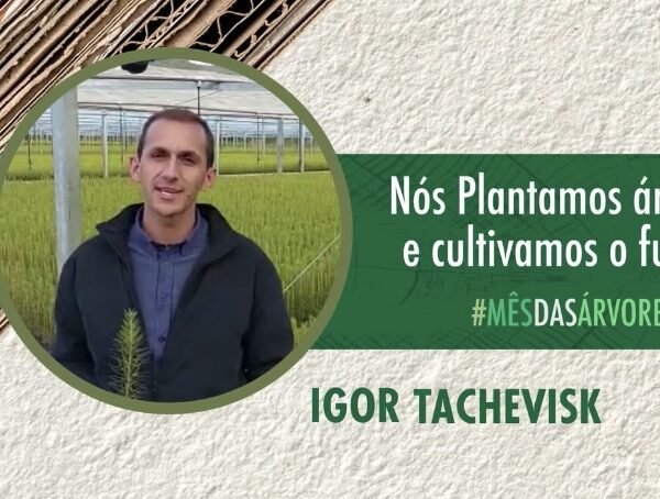 Foto — Associação Catarinense de Empresas Florestais (ACR)