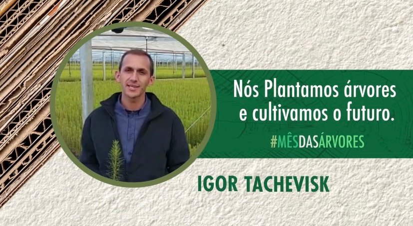 Foto — Associação Catarinense de Empresas Florestais (ACR)