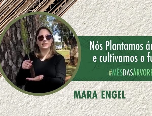 Foto — Associação Catarinense de Empresas Florestais (ACR)