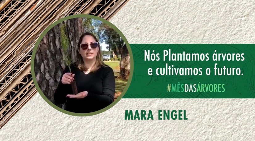 Foto — Associação Catarinense de Empresas Florestais (ACR)