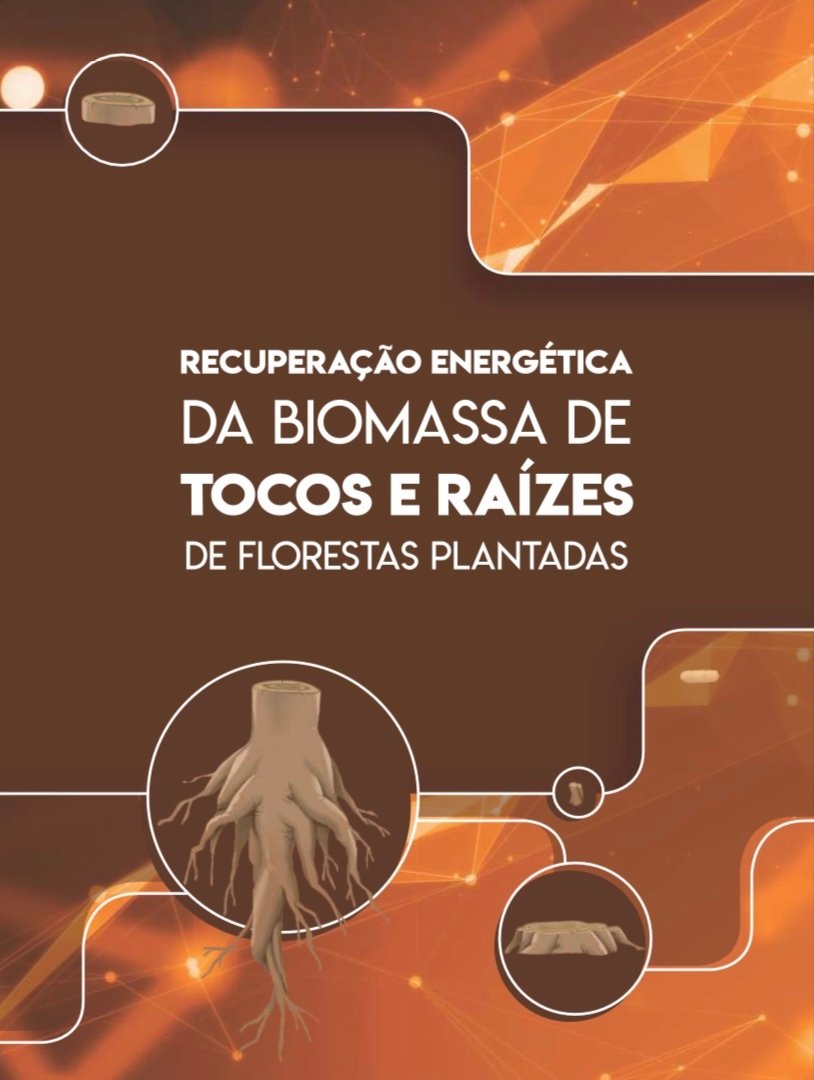 Foto — Associação Catarinense de Empresas Florestais (ACR)