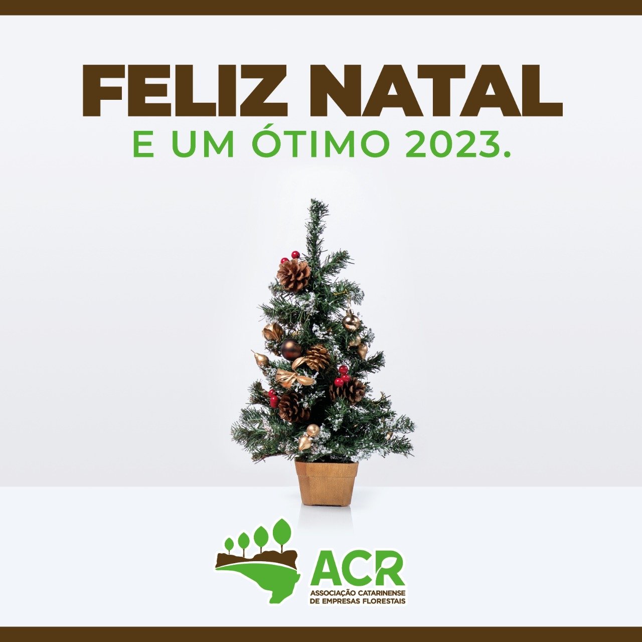 ACR NAtal 2022
