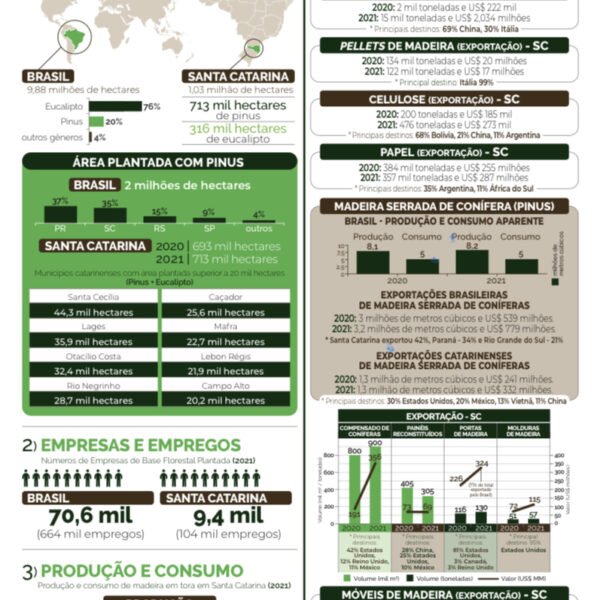 Foto — Associação Catarinense de Empresas Florestais (ACR)