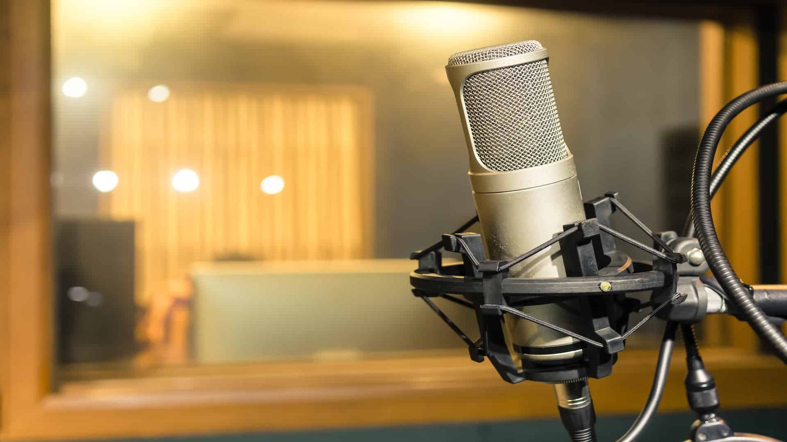 mic