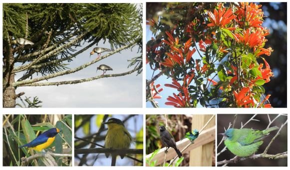 Seminário Biodiversidade