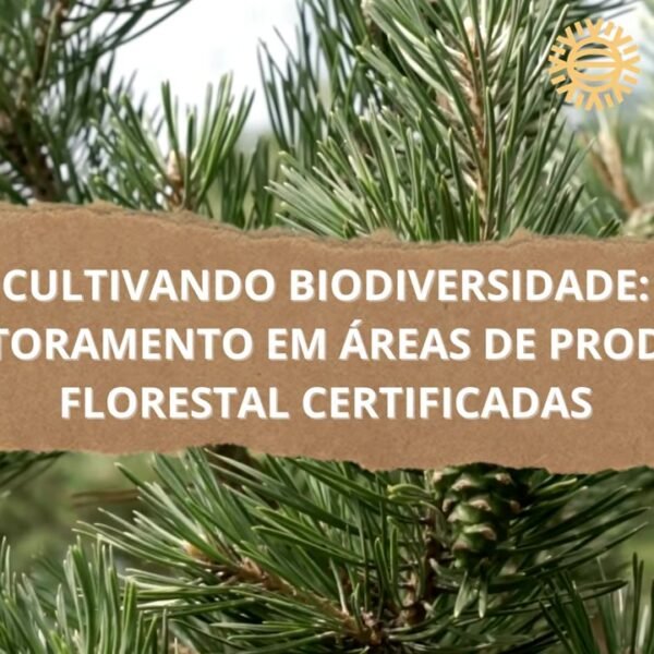 Cultivando Biodiversidade (720p50) frame at 0m4s