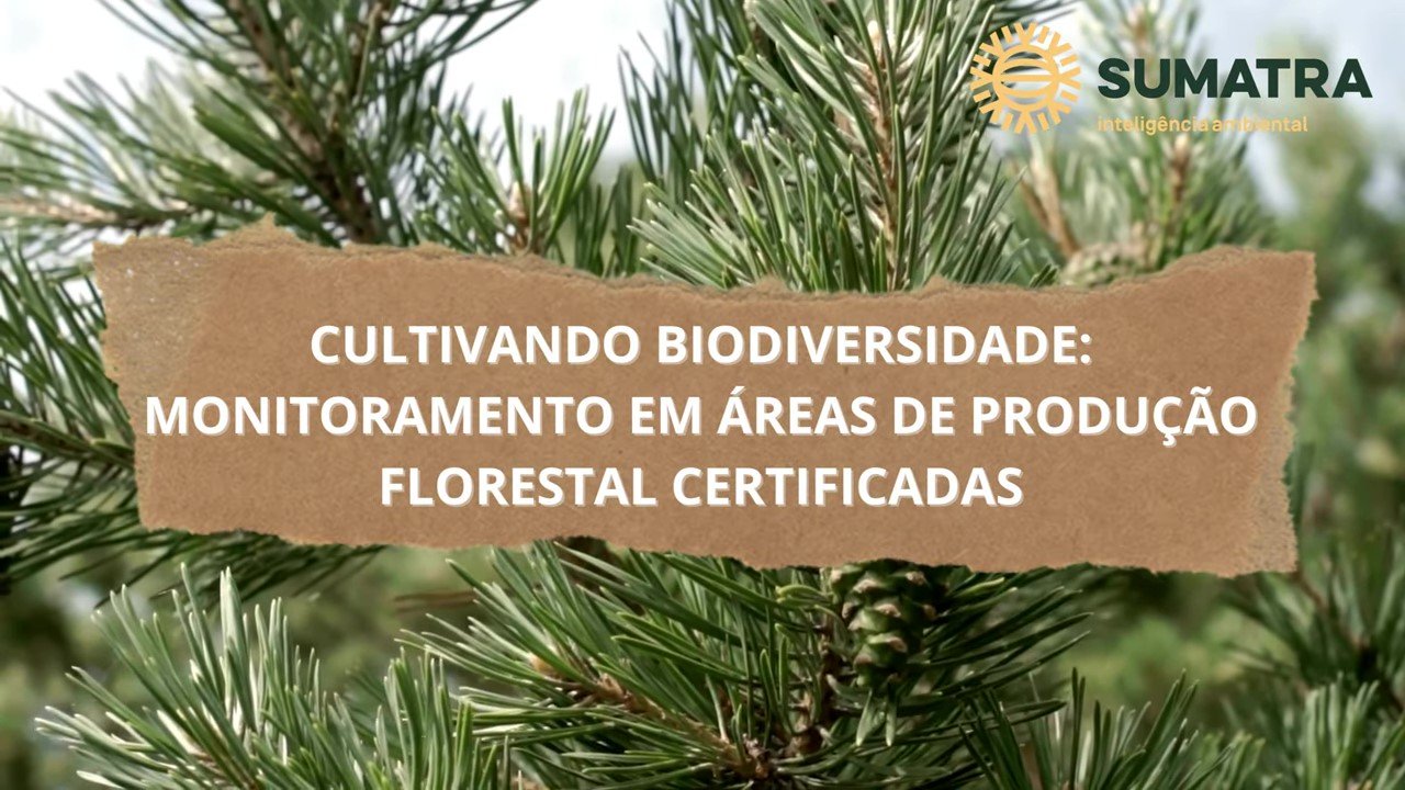 Cultivando Biodiversidade (720p50) frame at 0m4s