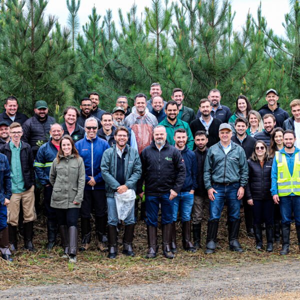 Foto — Associação Catarinense de Empresas Florestais (ACR)