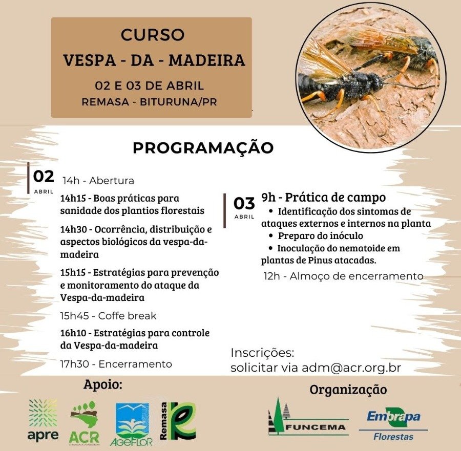 Banner Curso Vespa
