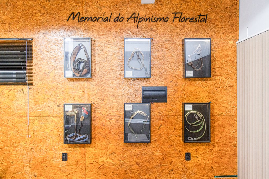 Foto — Associação Catarinense de Empresas Florestais (ACR)