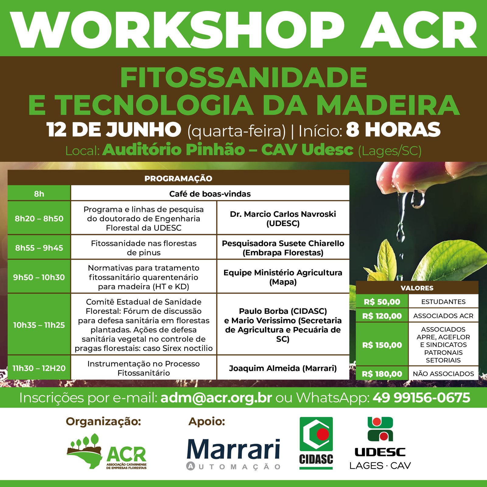 WS Sanidade Vegetal 2024