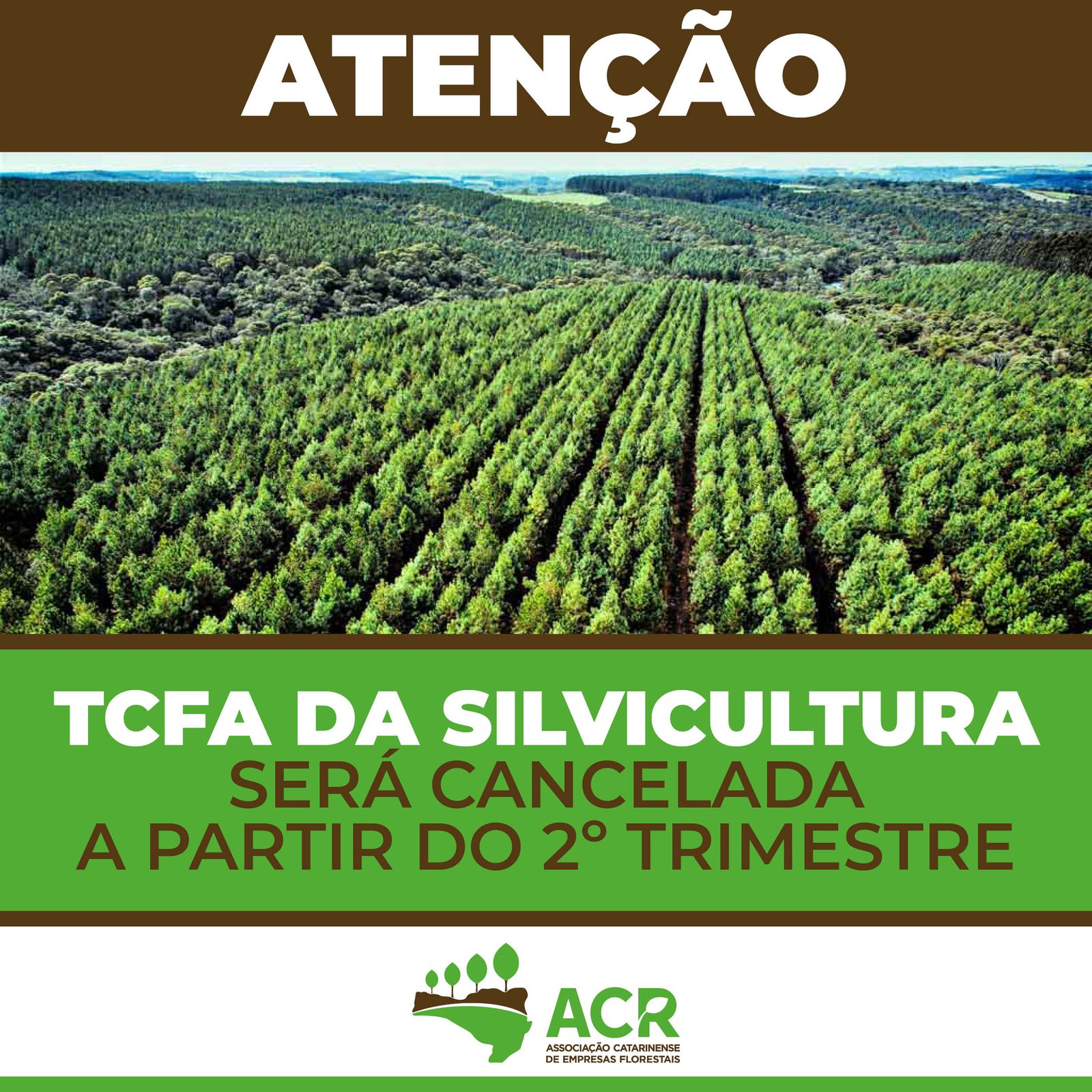 TCFA 2