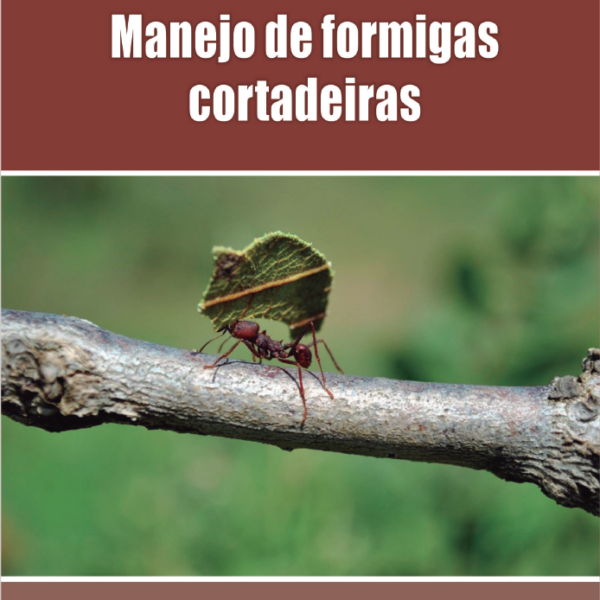Foto — Associação Catarinense de Empresas Florestais (ACR)