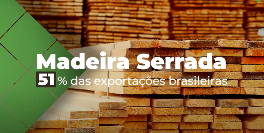 Foto — Associação Catarinense de Empresas Florestais (ACR)